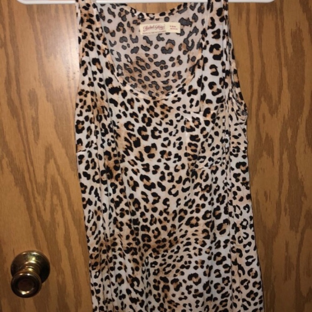 Cheetah Tank